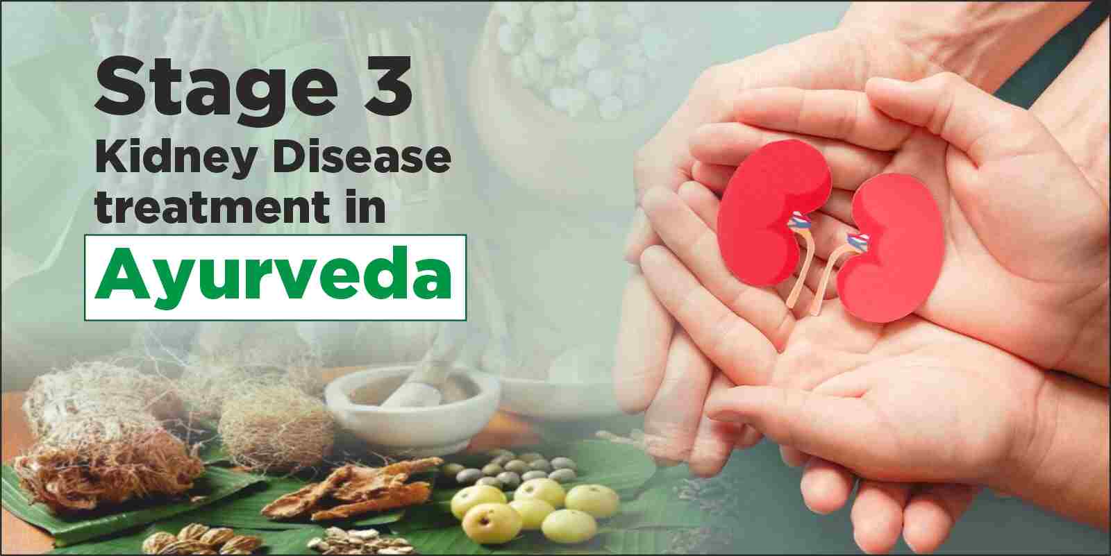 Stage 3 kidney disease treatment in Ayurveda